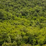 Lalzit Hills דירה *