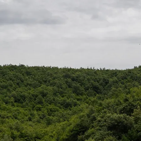 Lalzit Hills Dıraç